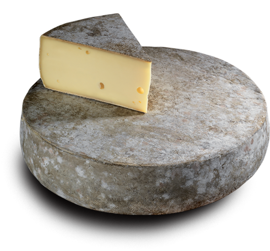 Tomme de Montagne